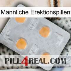 Männliche Erektionspillen 24